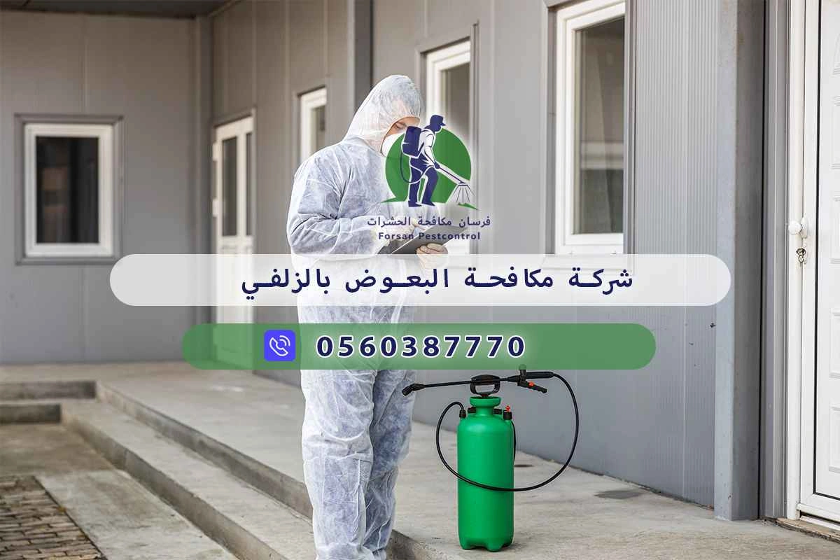 شركة مكافحة البعوض بالزلفي