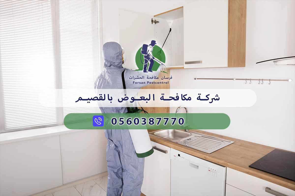 شركة مكافحة البعوض بالقصيم 0560387770 – خصم ٤٥% مكافحة آمنة 3 شركة مكافحة البعوض بالقصيم