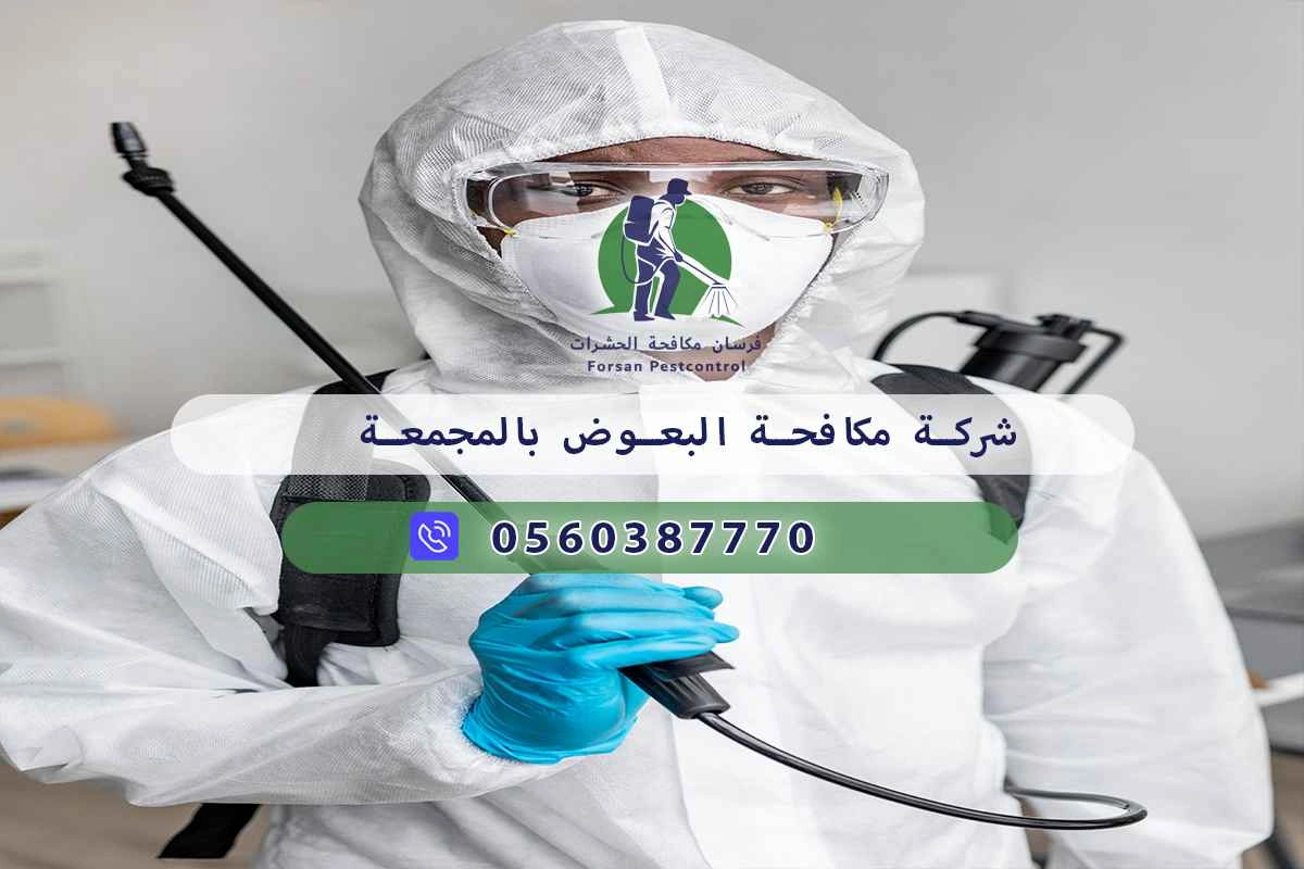 شركة مكافحة البعوض بالمجمعة 0560387770 – خصم ٤٥% مكافحة آمنة 3 شركة مكافحة البعوض بالمجمعة
