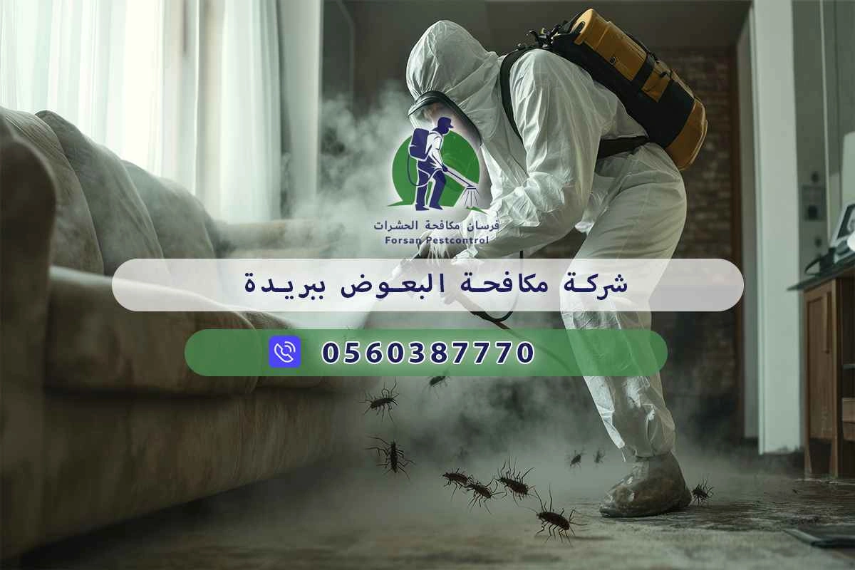 شركة مكافحة البعوض ببريدة 0560387770 – خصم ٤٥% مكافحة آمنة 3 شركة مكافحة البعوض ببريدة