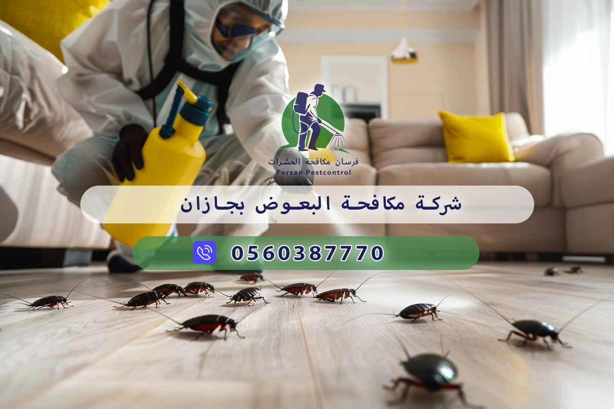 شركة مكافحة البعوض بجازان
