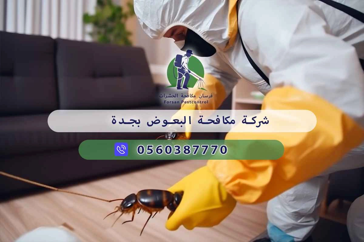شركة مكافحة البعوض بجدة 0560387770 – خصم ٤٥% مكافحة آمنة 3 شركة مكافحة البعوض بجدة