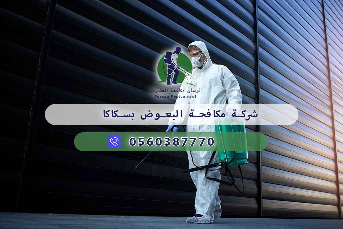 شركة مكافحة البعوض بسكاكا