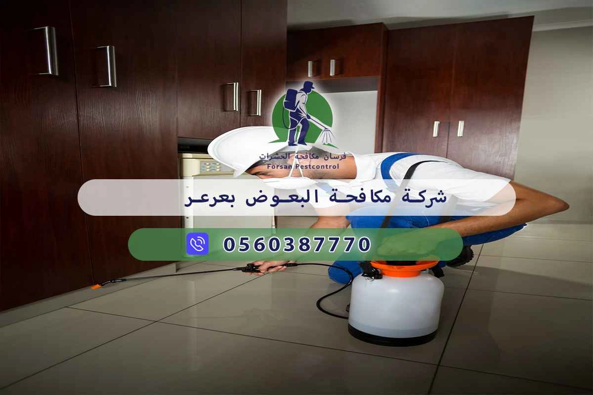 شركة مكافحة البعوض بعرعر 0560387770 – خصم ٤٥% مكافحة آمنة 3 شركة مكافحة البعوض بعرعر