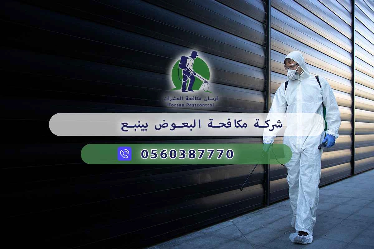 شركة مكافحة البعوض بينبع 0560387770 – خصم ٤٥% مكافحة آمنة 3 شركة مكافحة البعوض بينبع