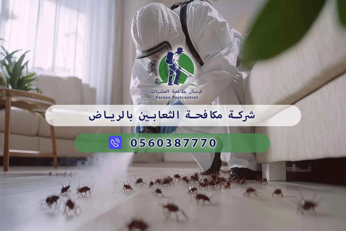 شركة مكافحة الثعابين بالرياض