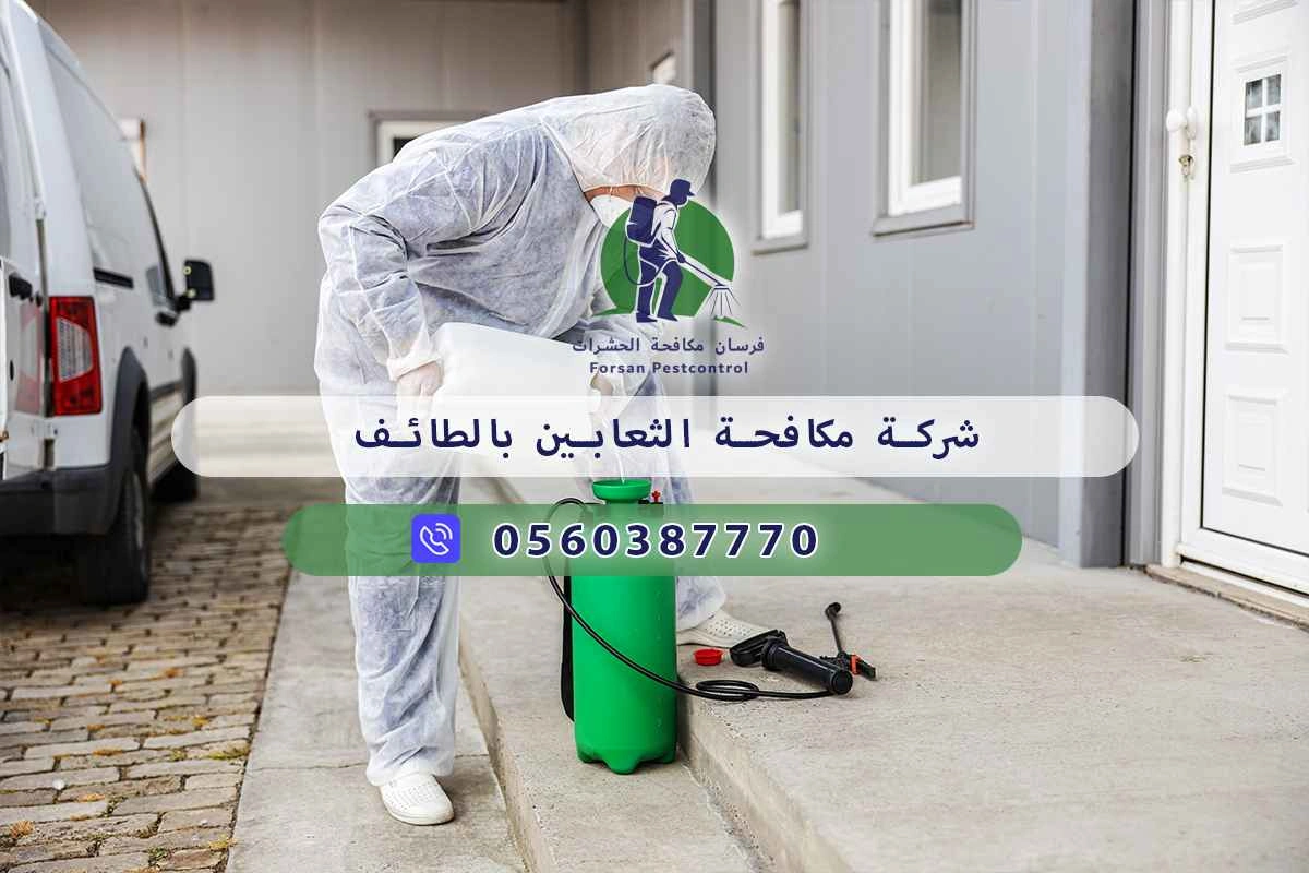 شركة مكافحة الثعابين بالطائف 0560387770 – خصم ٤٥% مكافحة آمنة 3 شركة مكافحة الثعابين بالطائف