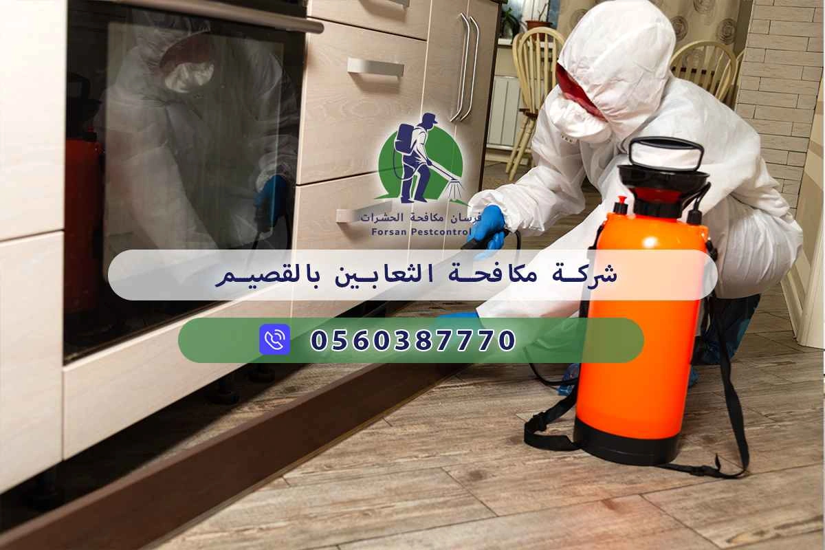 شركة مكافحة الثعابين بالقصيم 0560387770 – خصم ٤٥% مكافحة آمنة 3 شركة مكافحة الثعابين بالقصيم