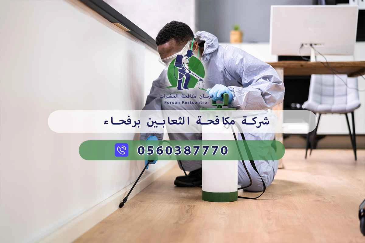 شركة مكافحة الثعابين برفحاء 0560387770 – خصم ٤٥% مكافحة آمنة 3 شركة مكافحة الثعابين برفحاء