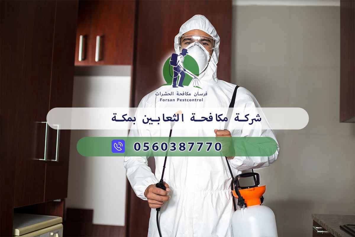 شركة مكافحة الثعابين بمكة 0560387770 – خصم ٤٥% مكافحة آمنة 3 شركة مكافحة الثعابين بمكة