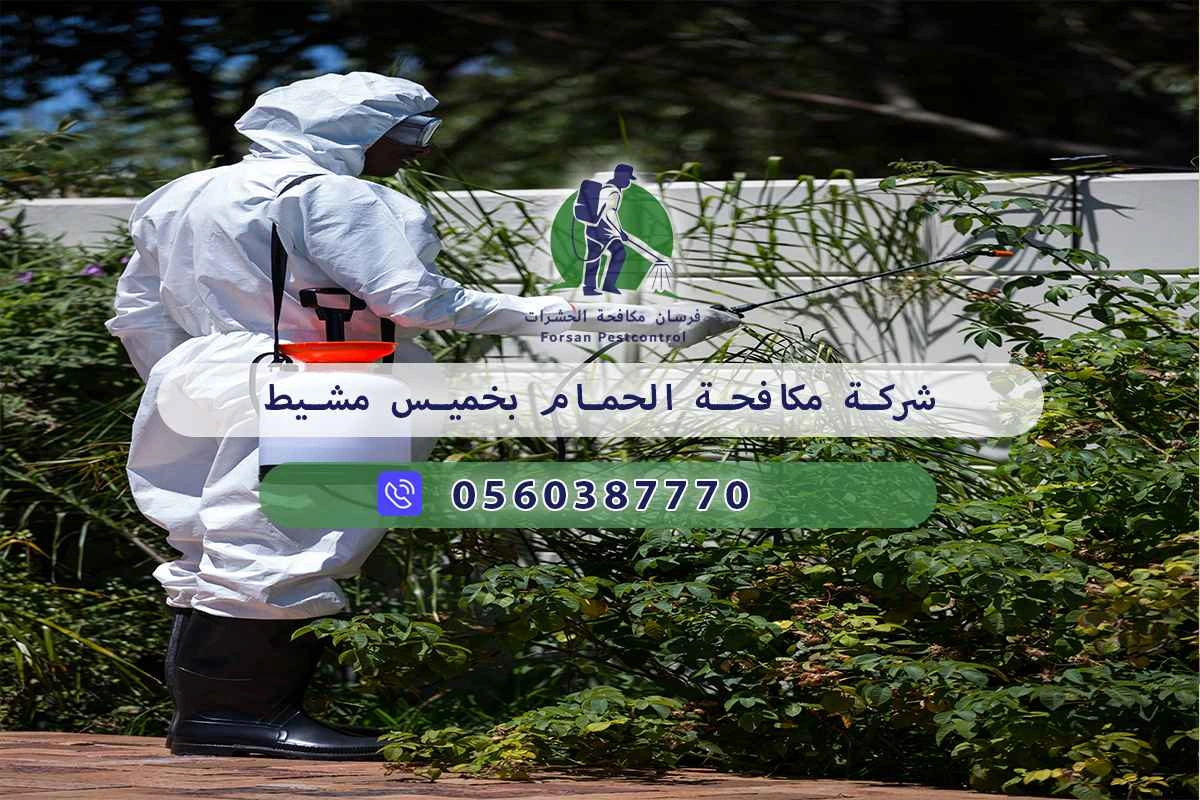 شركة مكافحة الحمام بخميس مشيط 0560387770 – خصم ٤٥% مكافحة آمنة 3 شركة مكافحة الحمام بخميس مشيط
