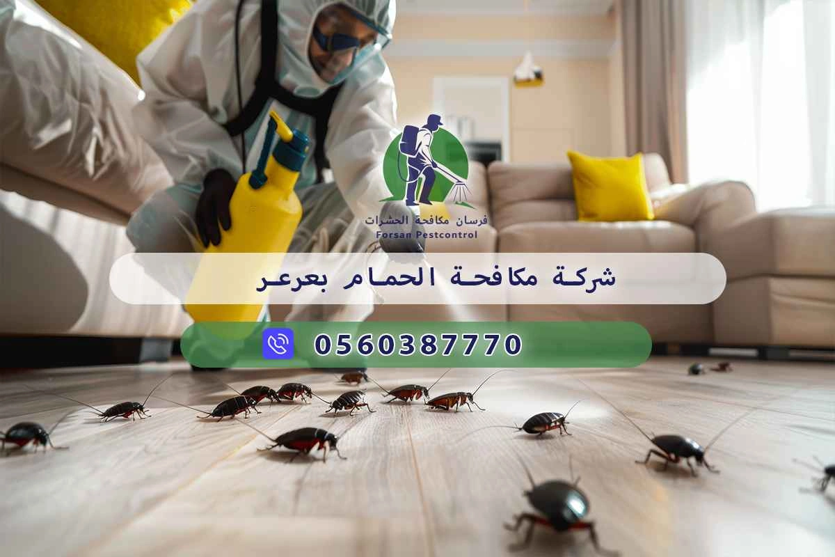 شركة مكافحة الحمام بعرعر 0560387770 – خصم ٤٥% مكافحة آمنة 3 شركة مكافحة الحمام بعرعر