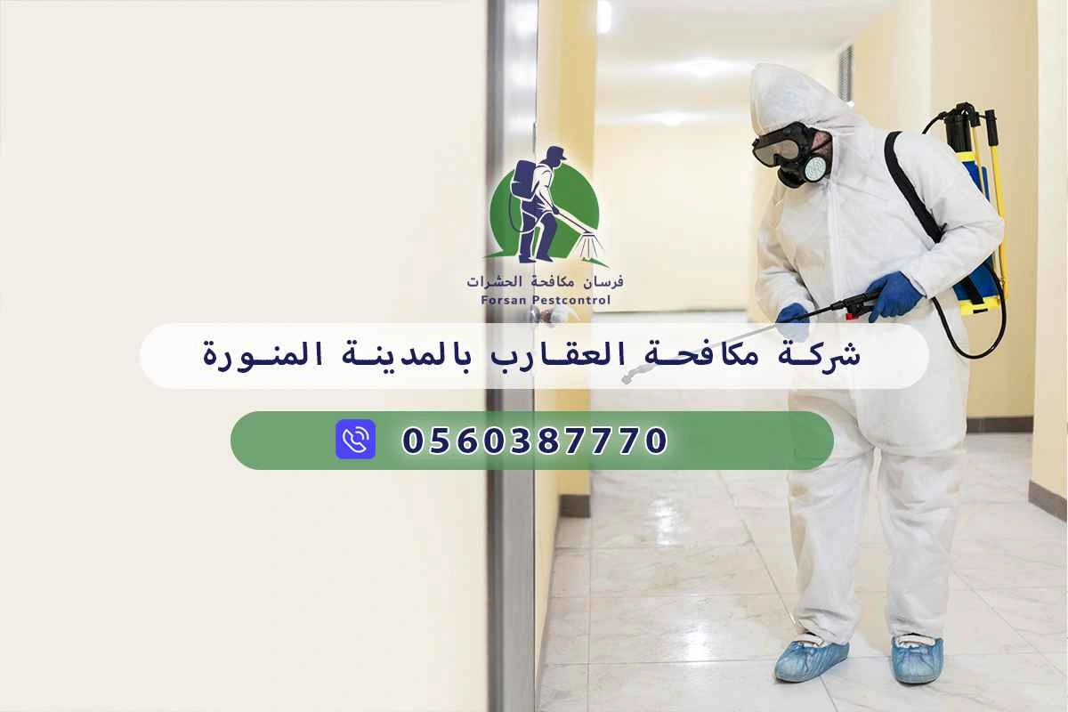 شركة مكافحة العقارب بالمدينة المنورة