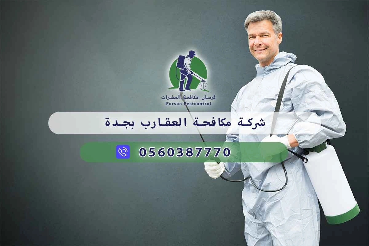 شركة مكافحة العقارب بجدة 0560387770 – خصم ٤٥% مكافحة آمنة 3 شركة مكافحة العقارب بجدة