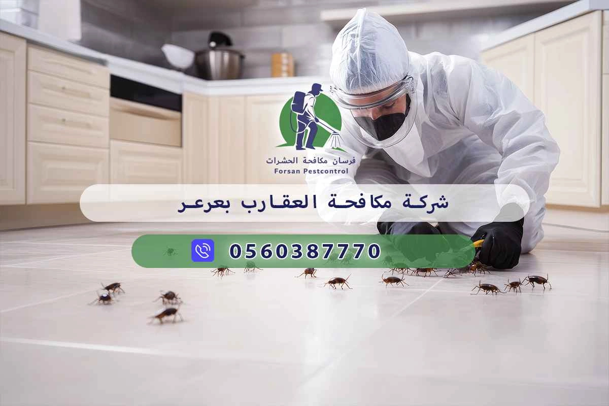 شركة مكافحة العقارب بعرعر 0560387770 – خصم ٤٥% مكافحة آمنة 3 شركة مكافحة العقارب بعرعر