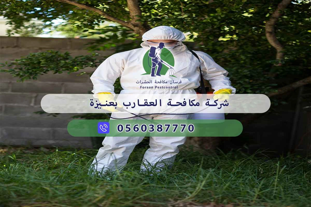 شركة مكافحة العقارب بعنيزة 0560387770 – خصم ٤٥% مكافحة آمنة 3 شركة مكافحة العقارب بعنيزة
