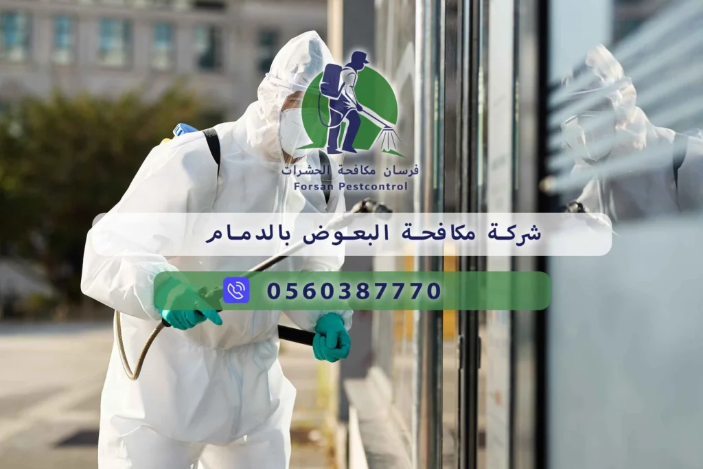شركة مكافحة البعوض بالدمام