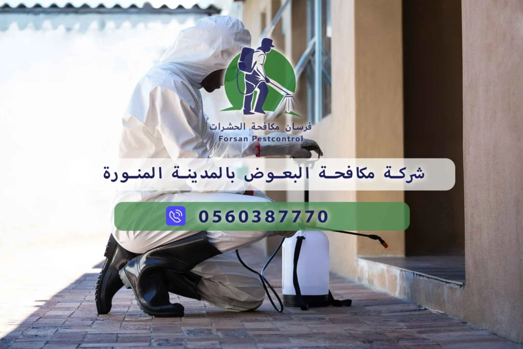 شركة مكافحة البعوض بالمدينة المنورة
