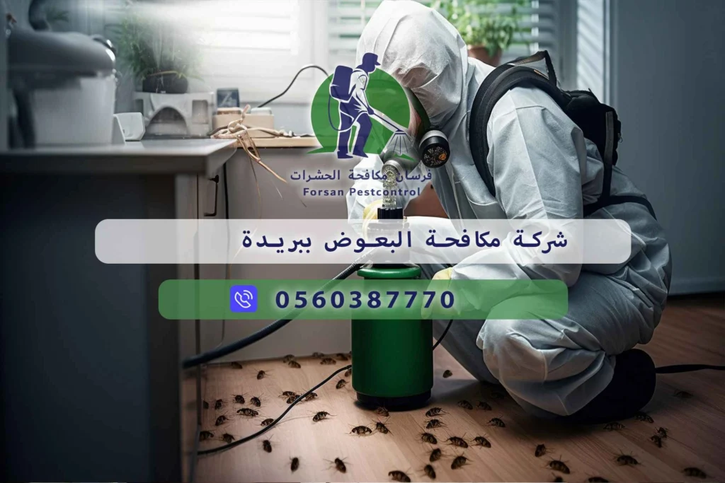 شركة مكافحة البعوض ببريدة