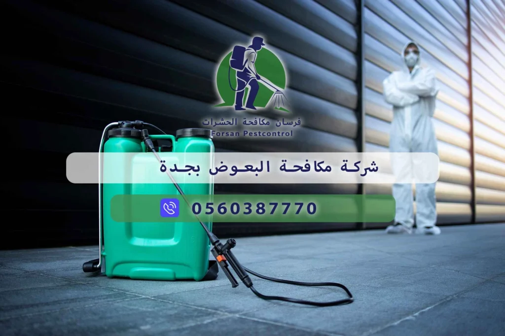 شركة مكافحة البعوض بجدة