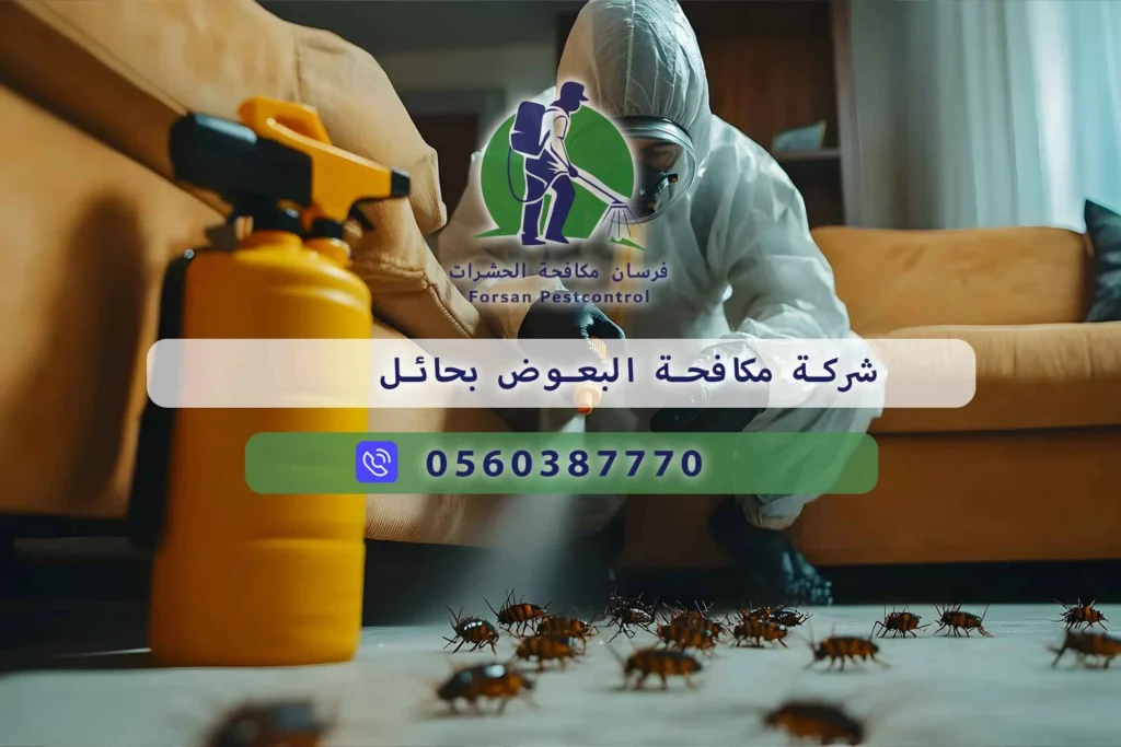 شركة مكافحة البعوض بحائل