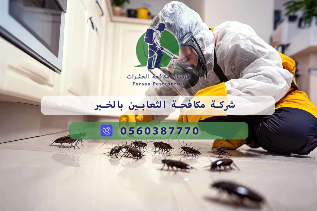 شركة مكافحة الثعابين بالخبر