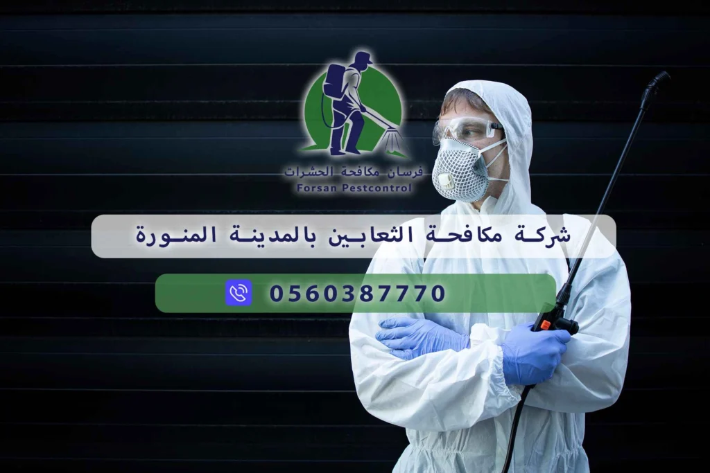 مكافحة الثعابين بالمدينة المنورة