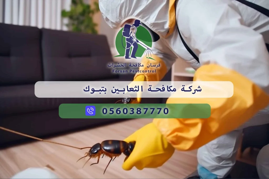 شركة مكافحة الثعابين بتبوك