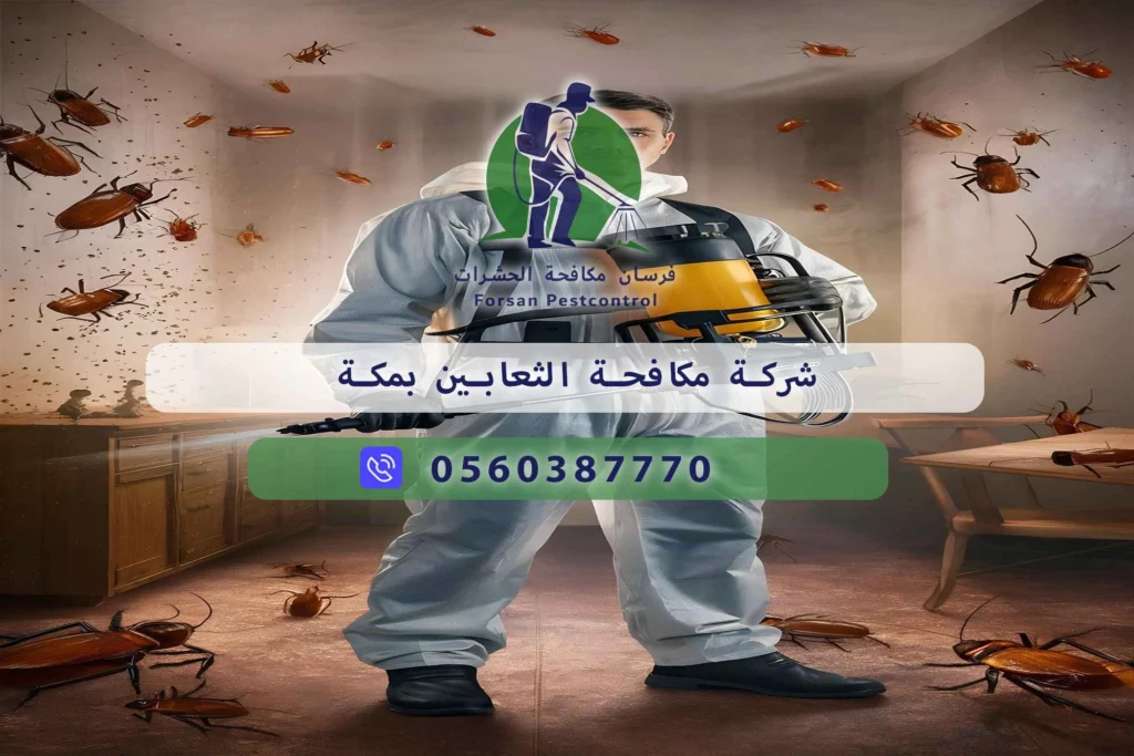 شركة مكافحة الثعابين بمكة