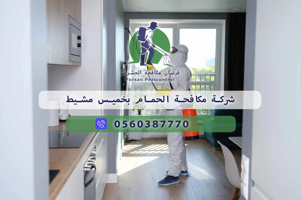 شركة مكافحة الحمام بخميس مشيط