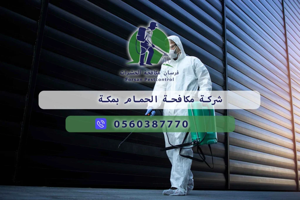 شركة مكافحة الحمام بمكة
