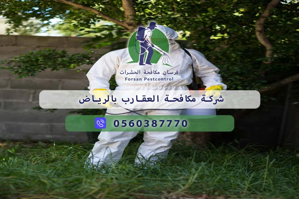 شركة مكافحة العقارب بالرياض