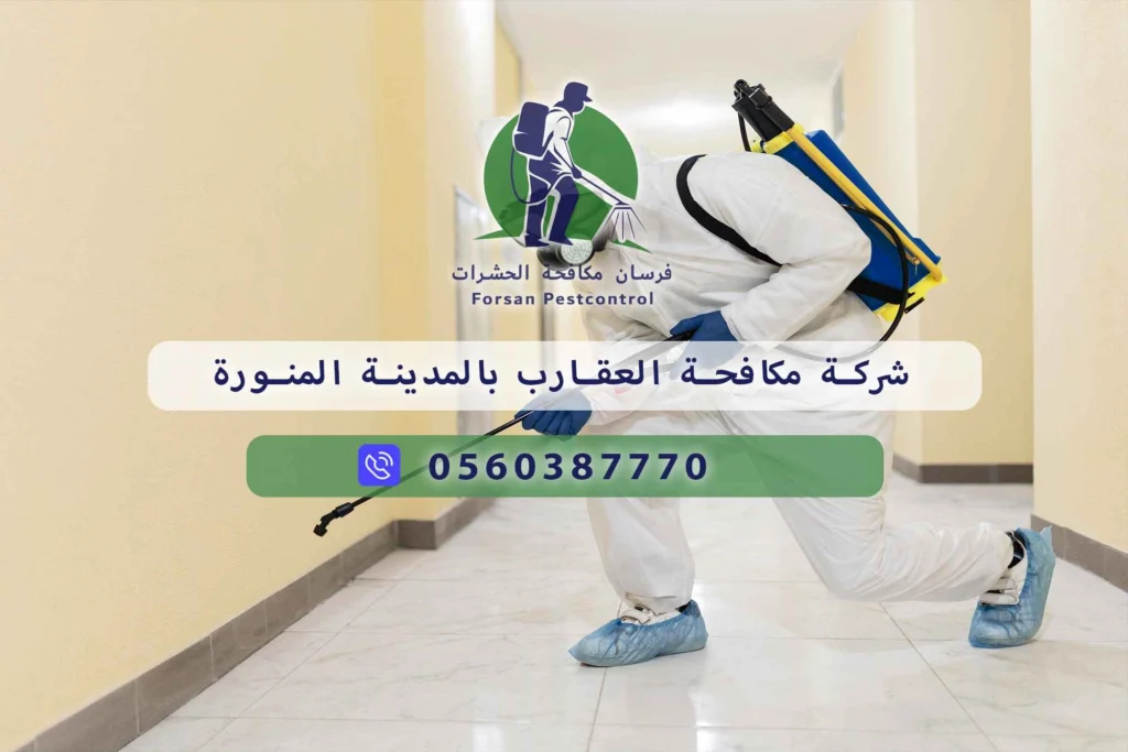 شركة مكافحة العقارب بالمدينة المنورة