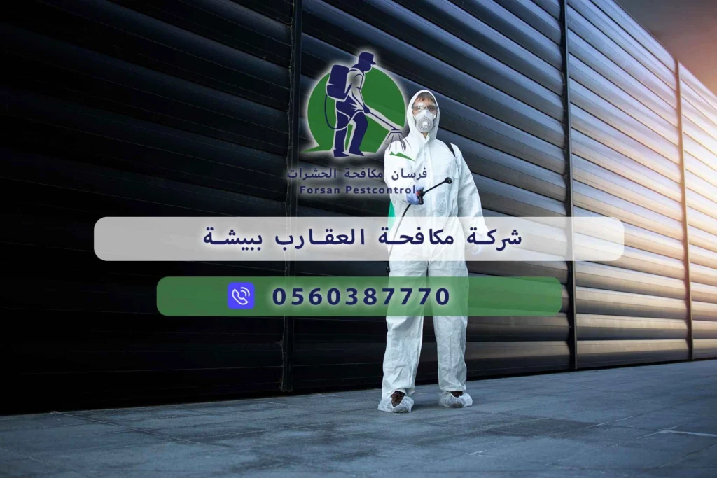 شركة مكافحة العقارب ببيشة