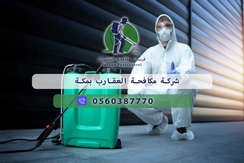 شركة مكافحة العقارب بمكة